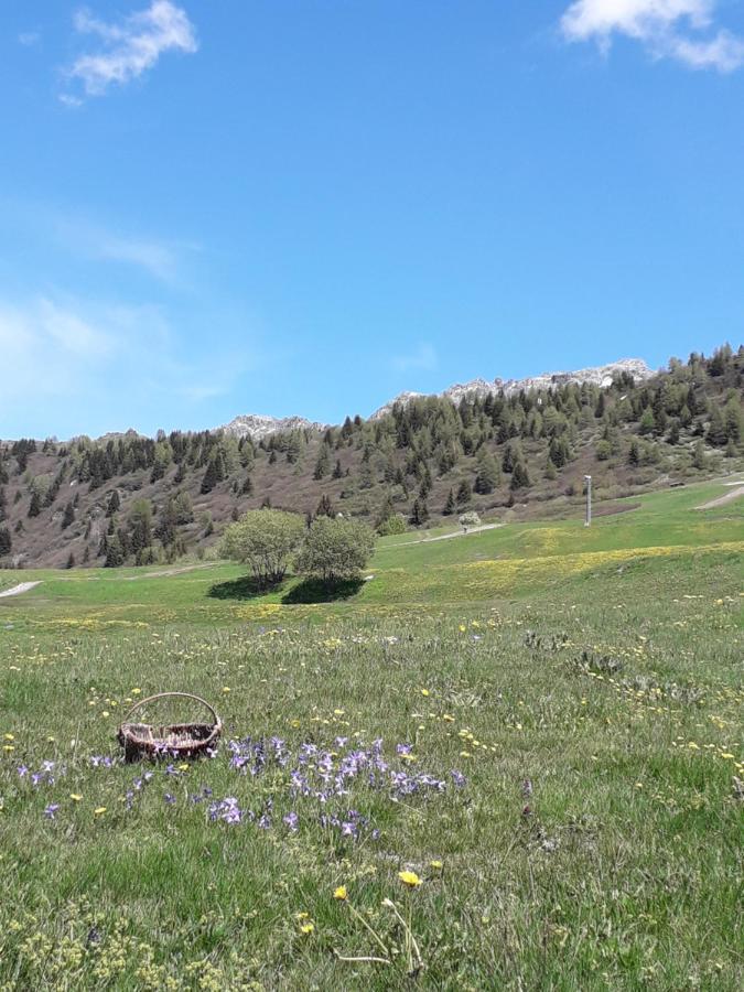 Les Campanules Apartment Bourg-Saint-Maurice Bagian luar foto